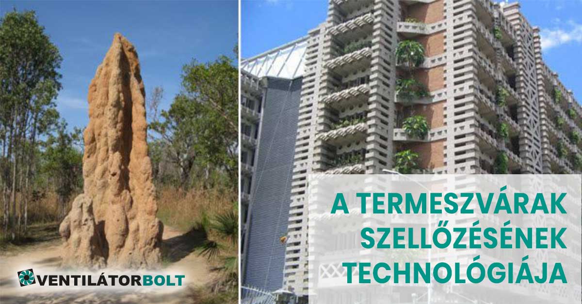Termeszvárak természetes szellőztetése és megvalósítása a modern épületekben