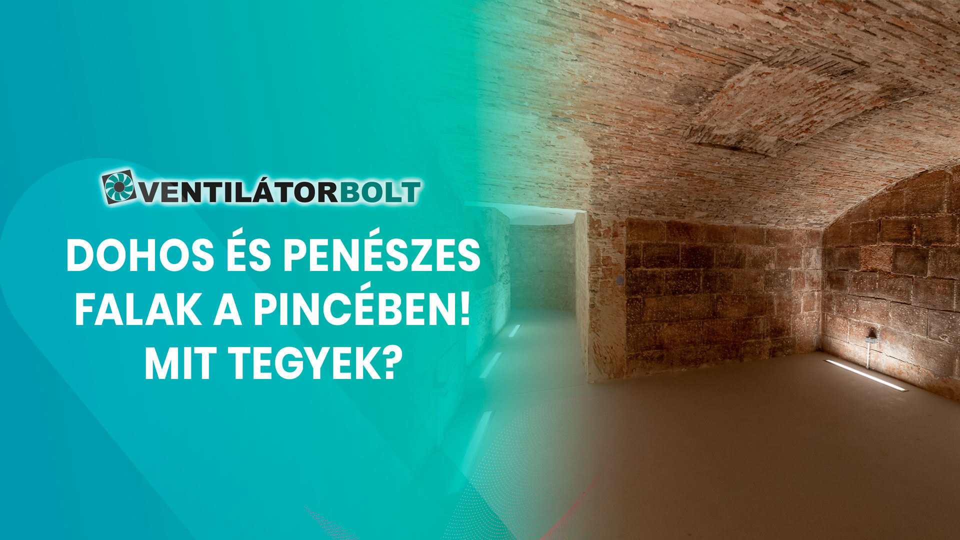 Dohos és penészes falak a pincében! Mit tegyek?
