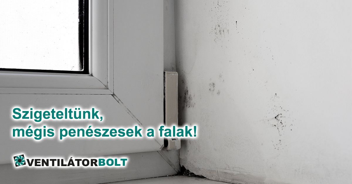 Szigetelés után is penészesek a falak!